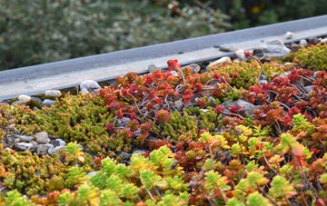 the cost of Crossdale Street green roof installation